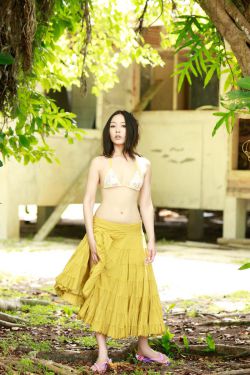 医痴叶天士