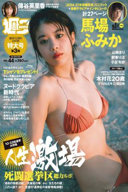 泽村玲子一区在线观看