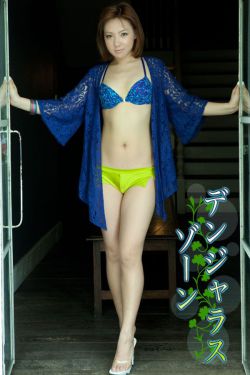 完美证据电视剧